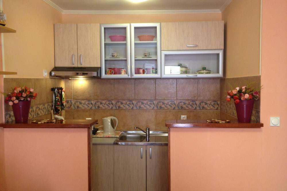 Apartment Studio-apartment Ines *